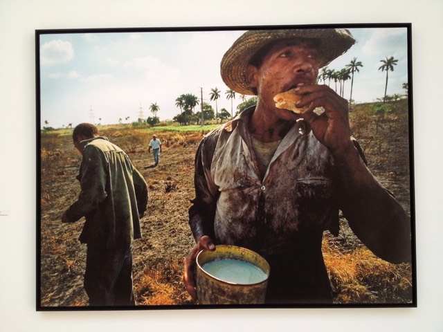 DANIEL CHUNG Cane Worker