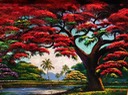 JAMES GIBSON, Royal Poinciana